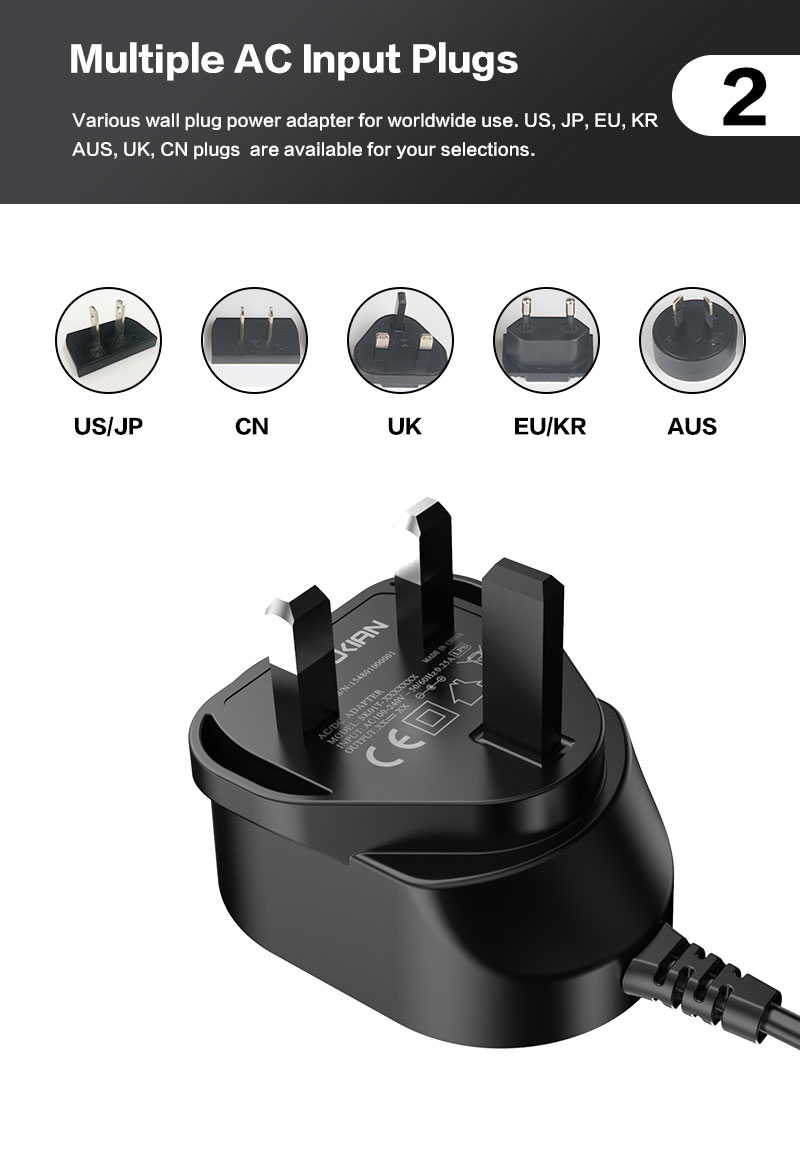 Multiple AC input Plugs